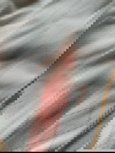 Implantation Bleeding po ba ito?