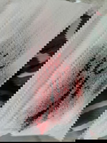 6w5d, had bleeding n doc scanned to no heartbeat n unable to c the fetus. Shud i worry?