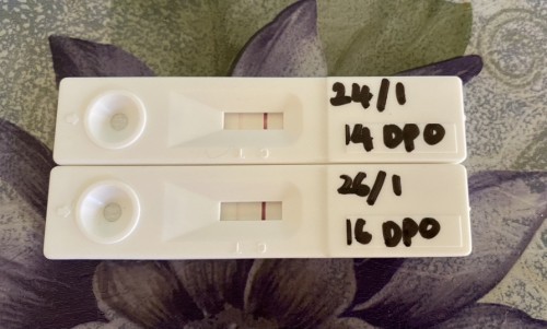 kenapa line upt pudar yer? tanda chemical pregnancy ke?