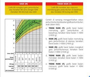 Ekspektasi VS Realita (Kupas Tuntas Pengalaman Jujur Bayi Stagnan BB paska ISK) (under 6m ya ma) 🤗