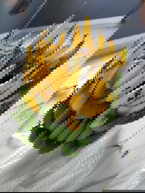 กล้วยเล็บมือนาง