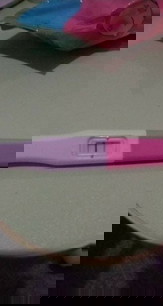 Pregnacy Test