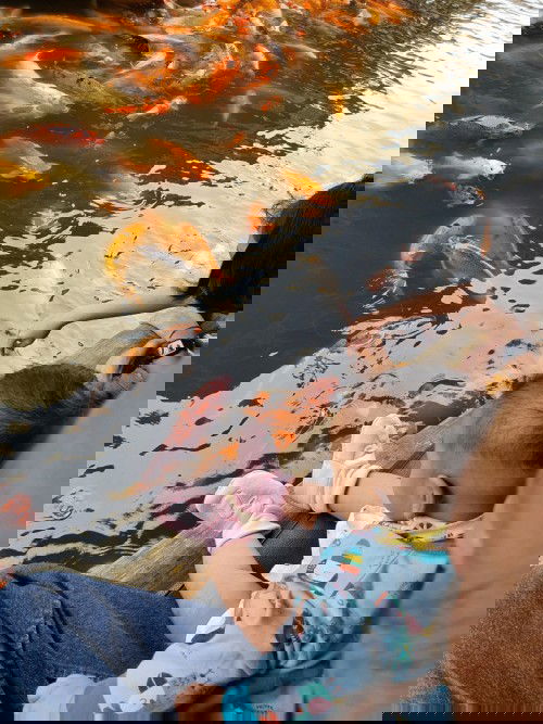 Trial MPASI 5 Bulan 2 Minggu