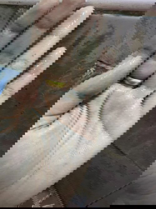 สอบถามค่ะ