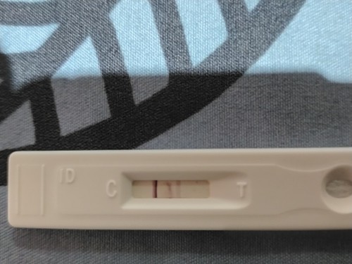 Pregnancy test