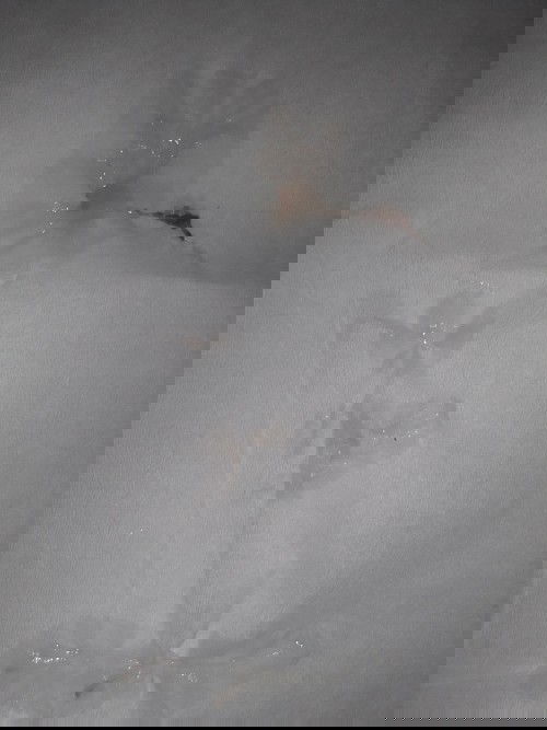 Apakah tanda persalinan