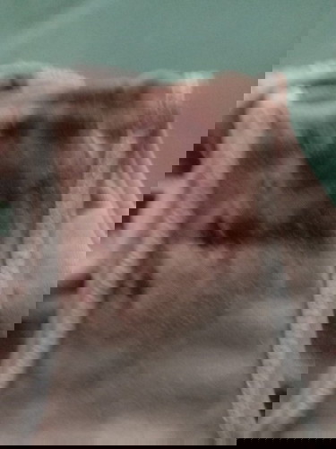 Confused Kung Buntis