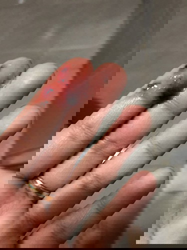 Bleeding 5W2d