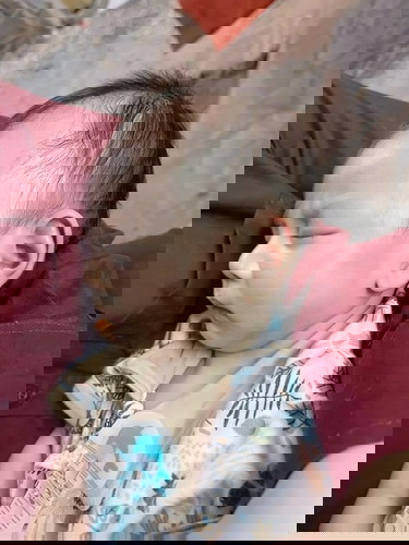 ลูกชายของแม่