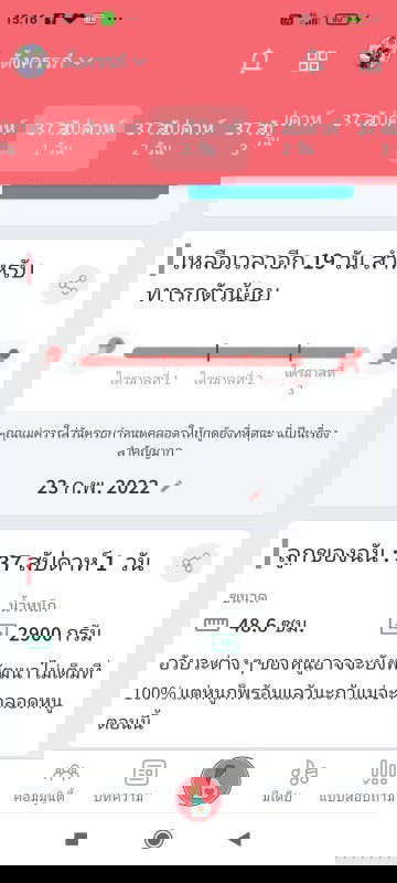 จะ38 วีคแล้ว ยังไม่มีชื่อเลย แม่ๆช่วยตั้งชื่อให้หน่อยนะคะ #น้องเป็นเพศชายค่ะ🥰🥰