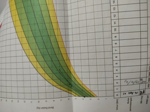 Berat badan bayi 4 bulan