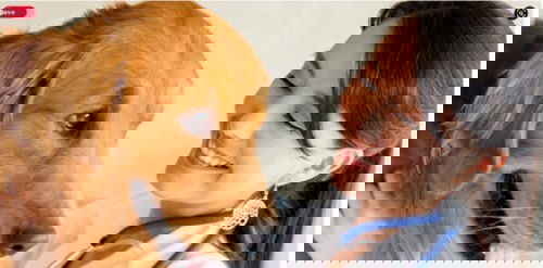 Biotechnology Assignment help