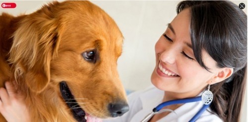 Biotechnology Assignment help