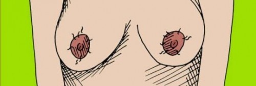 มีคุณแม่ท่านไหน มีขนยาวขึ้นตรงหัวนมไหมค่ะ และมีวิธีกำจัดขนตรงหัวนมแบบไหนค่ะ