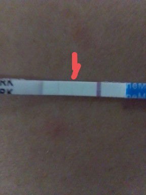 Janis blm terdeteksi