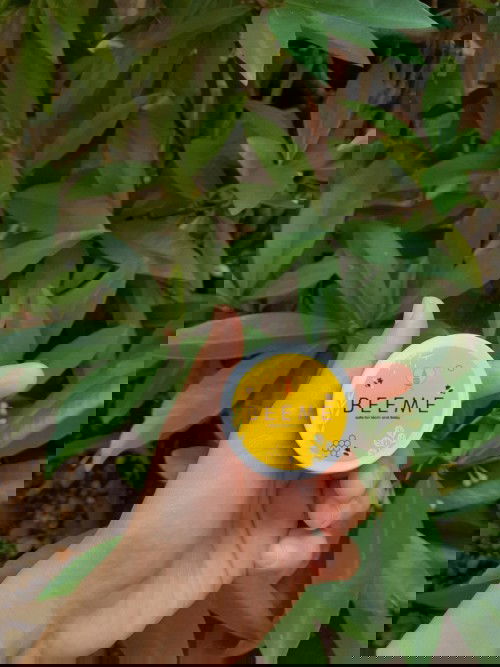 MENGATASI BRUNTUSAN/BIANG KERINGAT