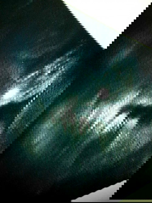 แม่ๆค่ะ แบบนี้ลูกสาวหรือลูกชายค่ะ
#ช่วยดูน่อยน่ะค่ะเเม่ๆ
#ท้อง2