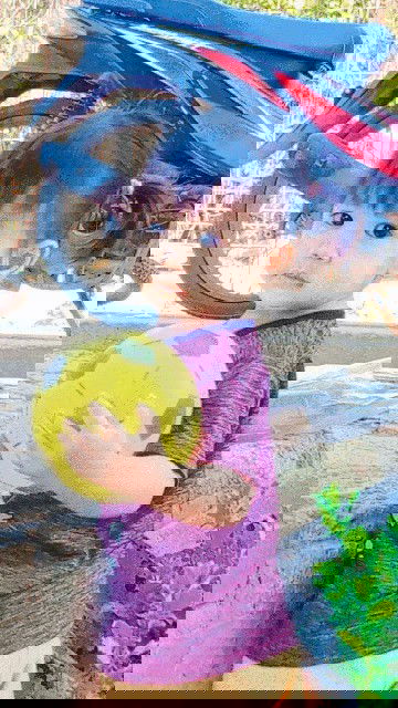 ขอคำปรึกษาน่อยคะ