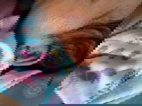 Tolong di bantu jawab