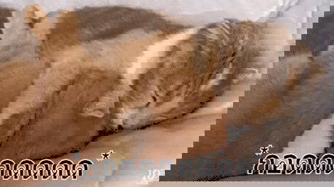 พ่อนอนกอดแม่ที่ตั้งครรภ์ได้ไหม