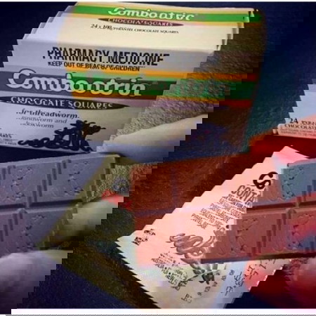 Mang thai có được tẩy giun không?