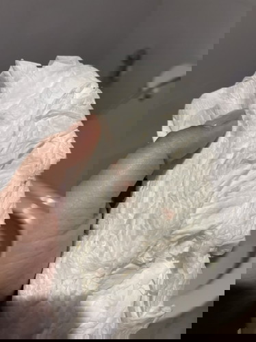 สอบถามแม่ๆ ค่ะ 7w5d มีเลือดชมพูจางๆ