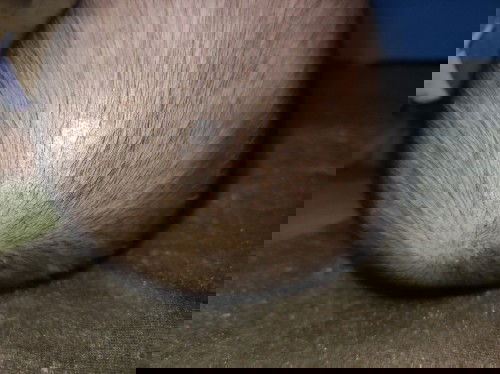 Dry scalp ni Baby 1 yr. Old