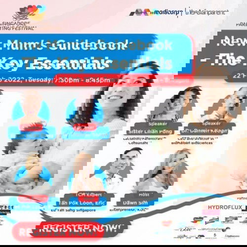 New Mum's Guidebook - The Key Essentials