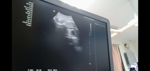 เพศชหรือญน๊า