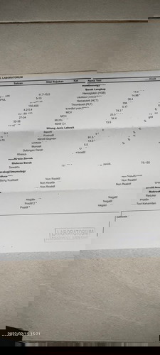 Hasil cek lab
