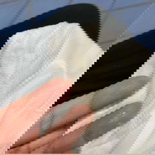 แบบนี้ใช่มูกหรือป่าวคะ