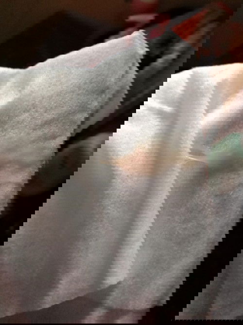 อีกนานมั้ยค่ะกว่าจะคลอด