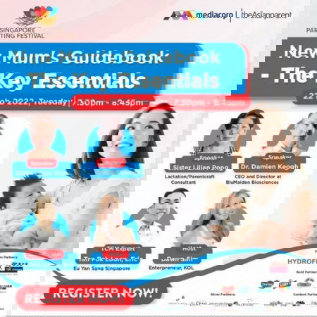 New Mum's Guidebook - The Key Essentials