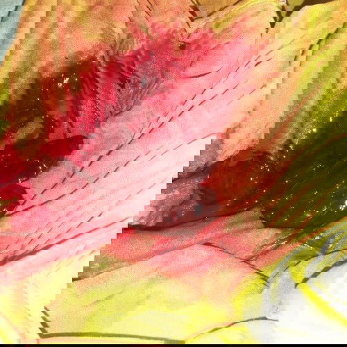 Nightmare na ayaw maranasan ng isang Mommy.