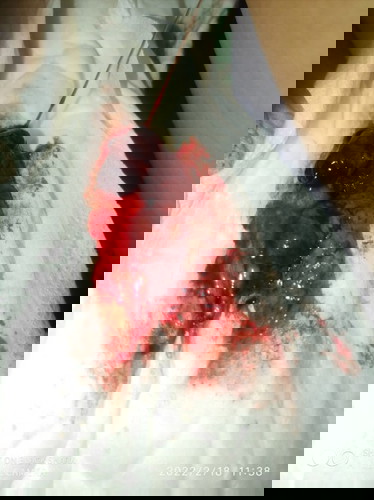 bye na po for this app..