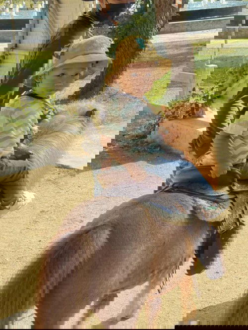 ลูกบ้านไหน 2ขวบยังไม่พูดคำที่มีความหมายบ้าง