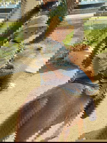 ลูกบ้านไหน 2ขวบยังไม่พูดคำที่มีความหมายบ้าง