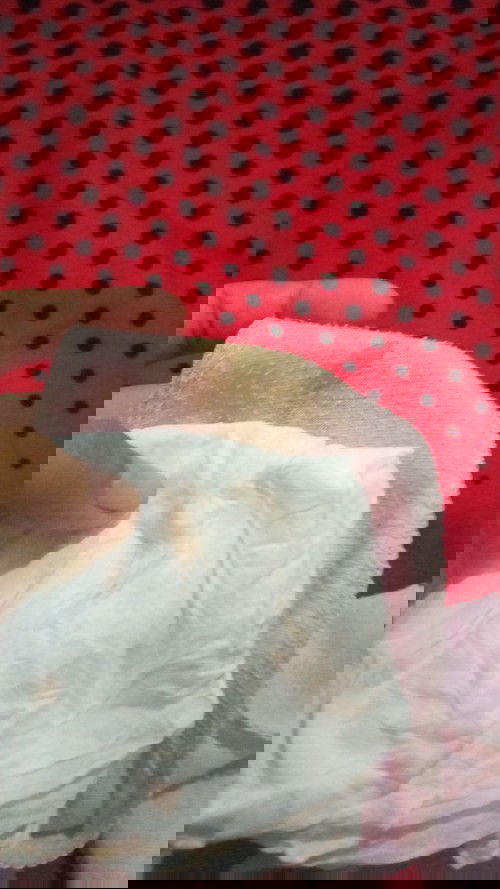 Bunda mau tanya ini kenapa ya? 
Saya pipis terus keluar flek... 
Saya hamil 11 minggu