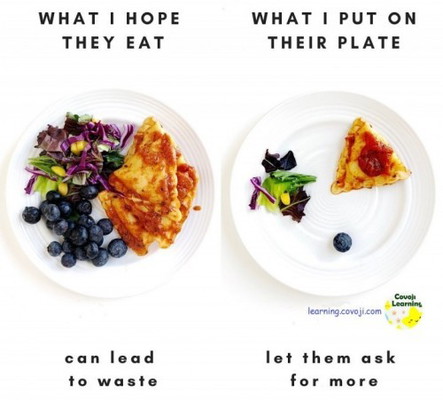 Picky Eater Solution