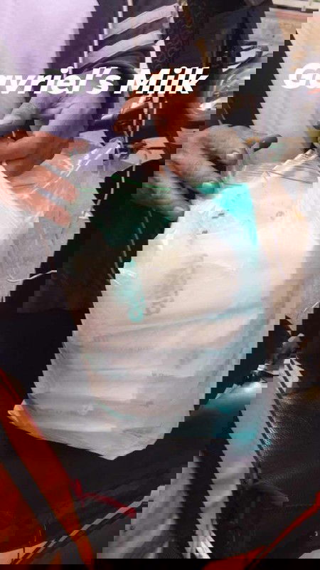 Breastmilk for sale.