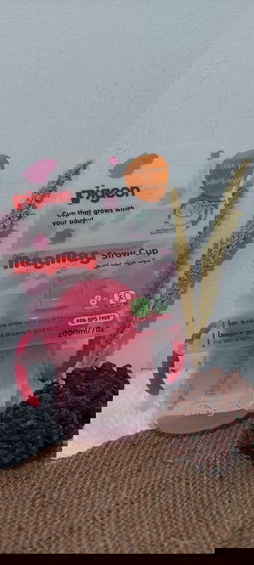 SOLD PIGEON  Mag Mag Straw Import - Pink