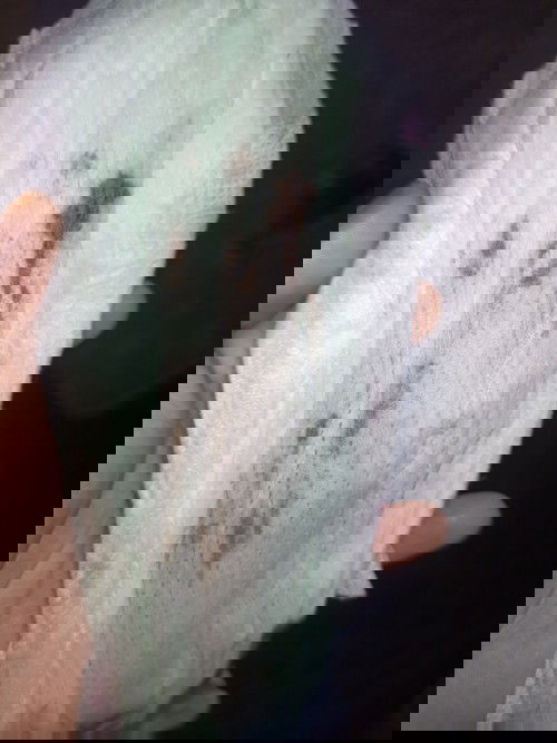 Period warna coklat gelap