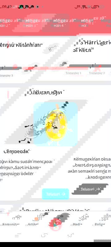 39 week 3 d. Belum ada tanda2 lahiran