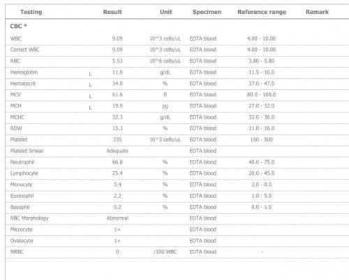 ขอคำแนะนำด้วยครับ