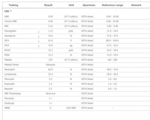 ขอคำแนะนำด้วยครับ