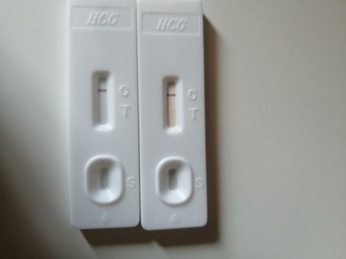 ขอสอบถามนะคะ