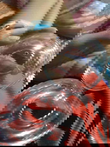 อันนี้ใช้ทำไรกับนมหรอคะมีเเม่คนไหนรู้บ้าง#ทีมพฤศภา