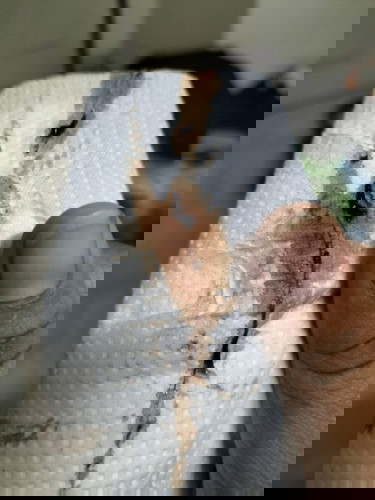 แนะนำหน่อยคะ ใครเคยผ่านมาแล้วบ้าง