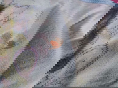 Pipis bayi umur 5 hri