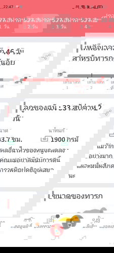 ตั้งชื่อลูก2พยางค์